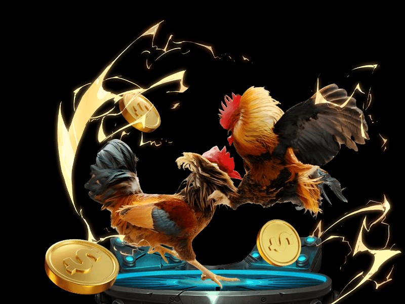 Trò chơi Tiến Lên Miền Nam tại rrr88